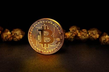 &#39318;&#39029;&#95;&#74;&#68;&#66;&#40;&#20013;&#22269;&#41;&#30005;&#23376;&#95;&#23448;&#26041;&#32593;&#31449;