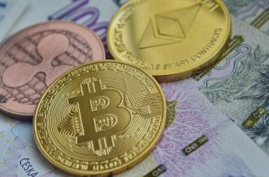 &#39318;&#39029;&#95;&#74;&#68;&#66;&#40;&#20013;&#22269;&#41;&#30005;&#23376;&#95;&#23448;&#26041;&#32593;&#31449;