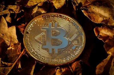&#39318;&#39029;&#95;&#74;&#68;&#66;&#40;&#20013;&#22269;&#41;&#30005;&#23376;&#95;&#23448;&#26041;&#32593;&#31449;