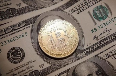 &#39318;&#39029;&#95;&#74;&#68;&#66;&#40;&#20013;&#22269;&#41;&#30005;&#23376;&#95;&#23448;&#26041;&#32593;&#31449;